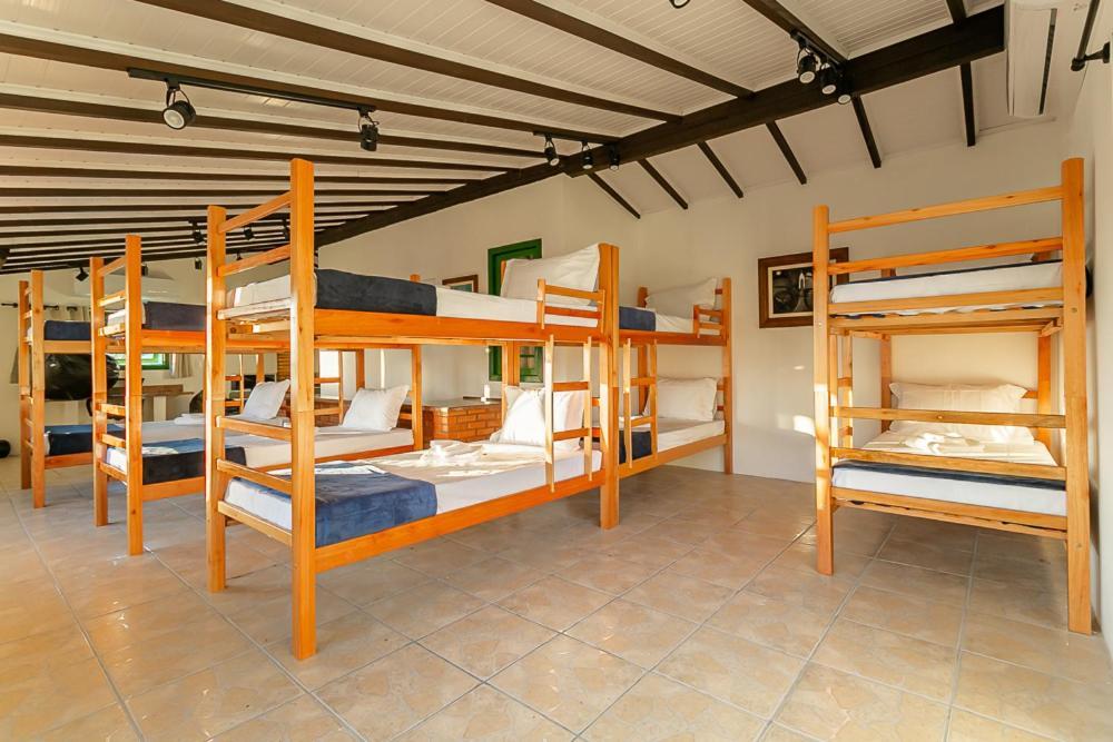 Abaporu Art Hostel Florianopolis Bagian luar foto